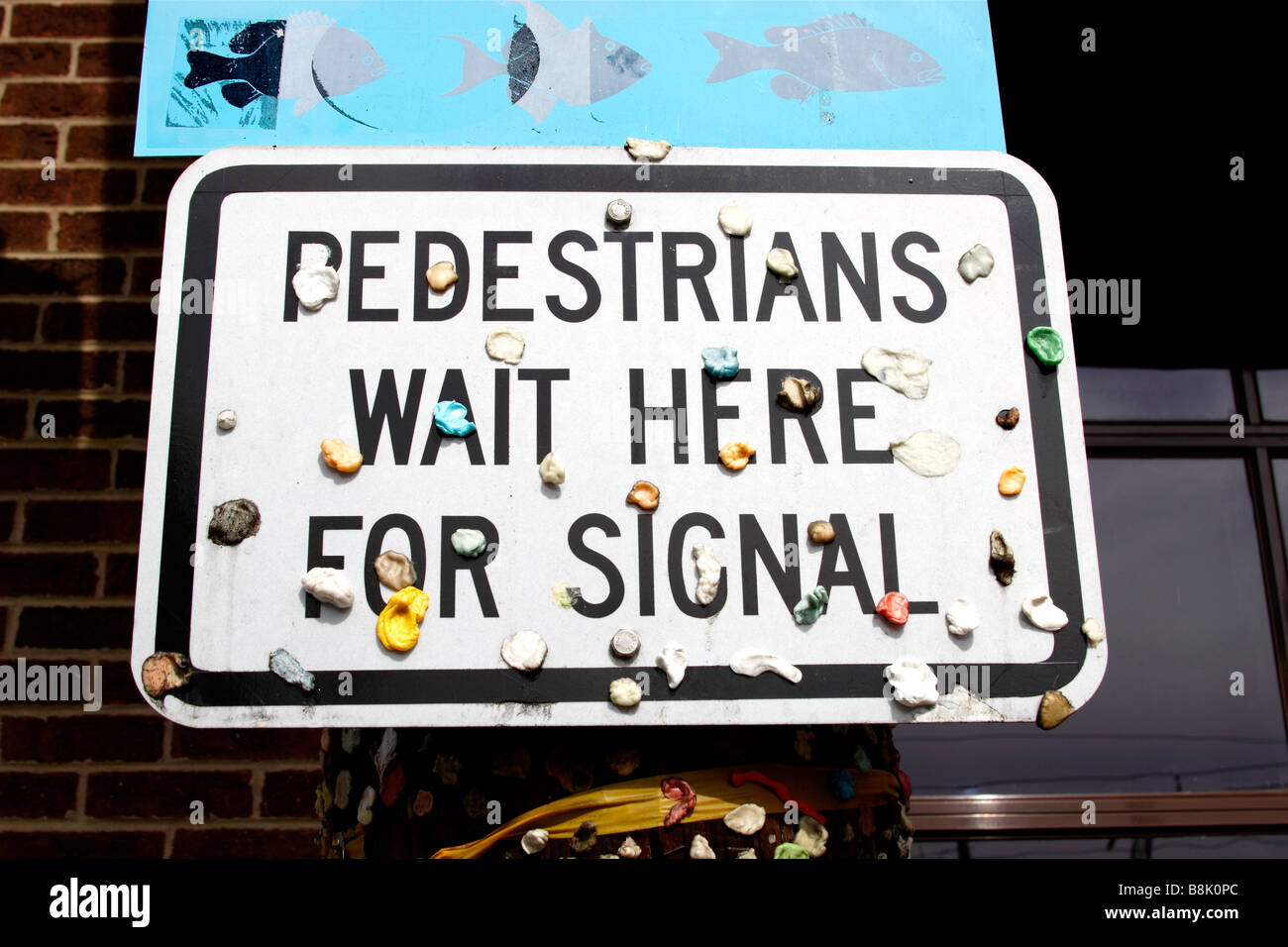 Straßenschild verunstaltet mit gebrauchten Kaugummi, Charleston, South Carolina, USA Stockfoto