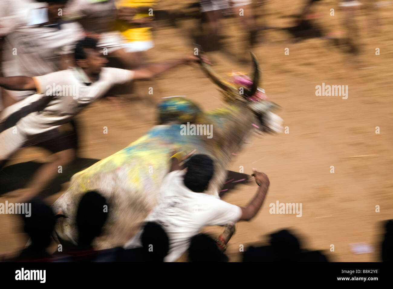 Indien Tamil Nadu Allanganallur jährlichen Pongal Jallikkattu Stierkampf verschwommen schnellen Bewegung Stockfoto