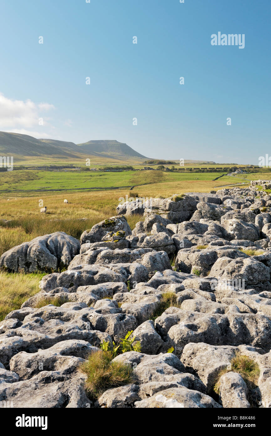 Yorkshire Dales National Park, England. Über Karst Kalkstein Pflaster bei Ribblehead in Richtung Kalkstein-massiv des Ingleborough. Stockfoto