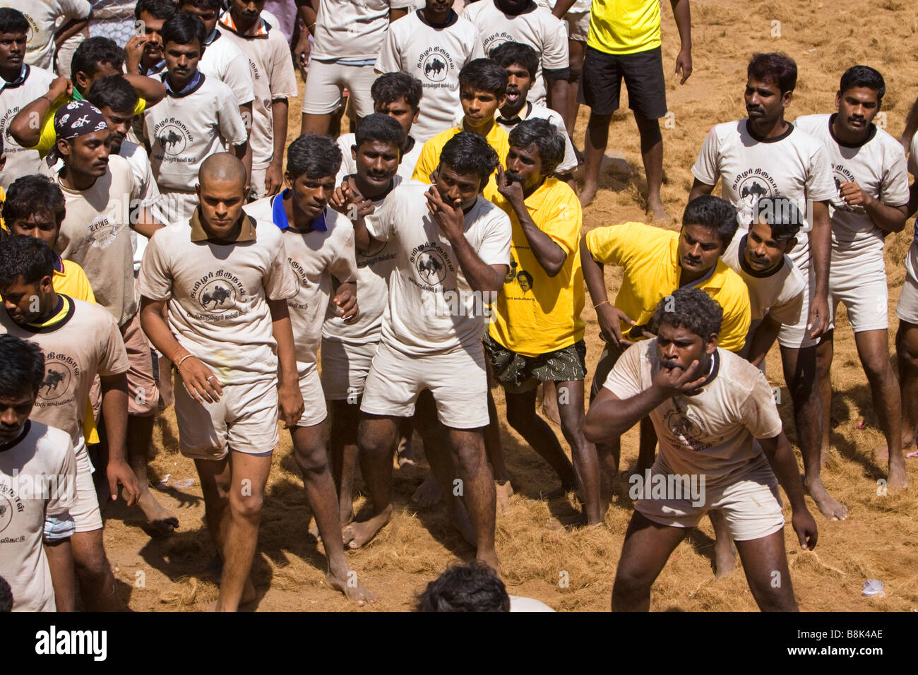 Indien Tamil Nadu Allanganallur jährlichen Pongal Jallikkattu Stierkampf Konkurrenten Pfeifen, bull Stockfoto