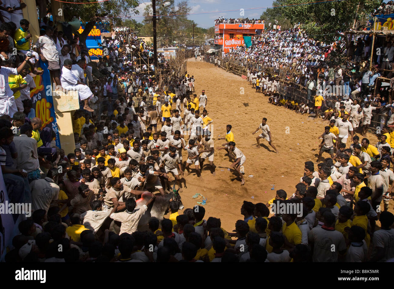 Indien Tamil Nadu Allanganallur jährlichen Pongal Jallikkattu Stierkampf Menge Konkurrenz beobachten Stockfoto