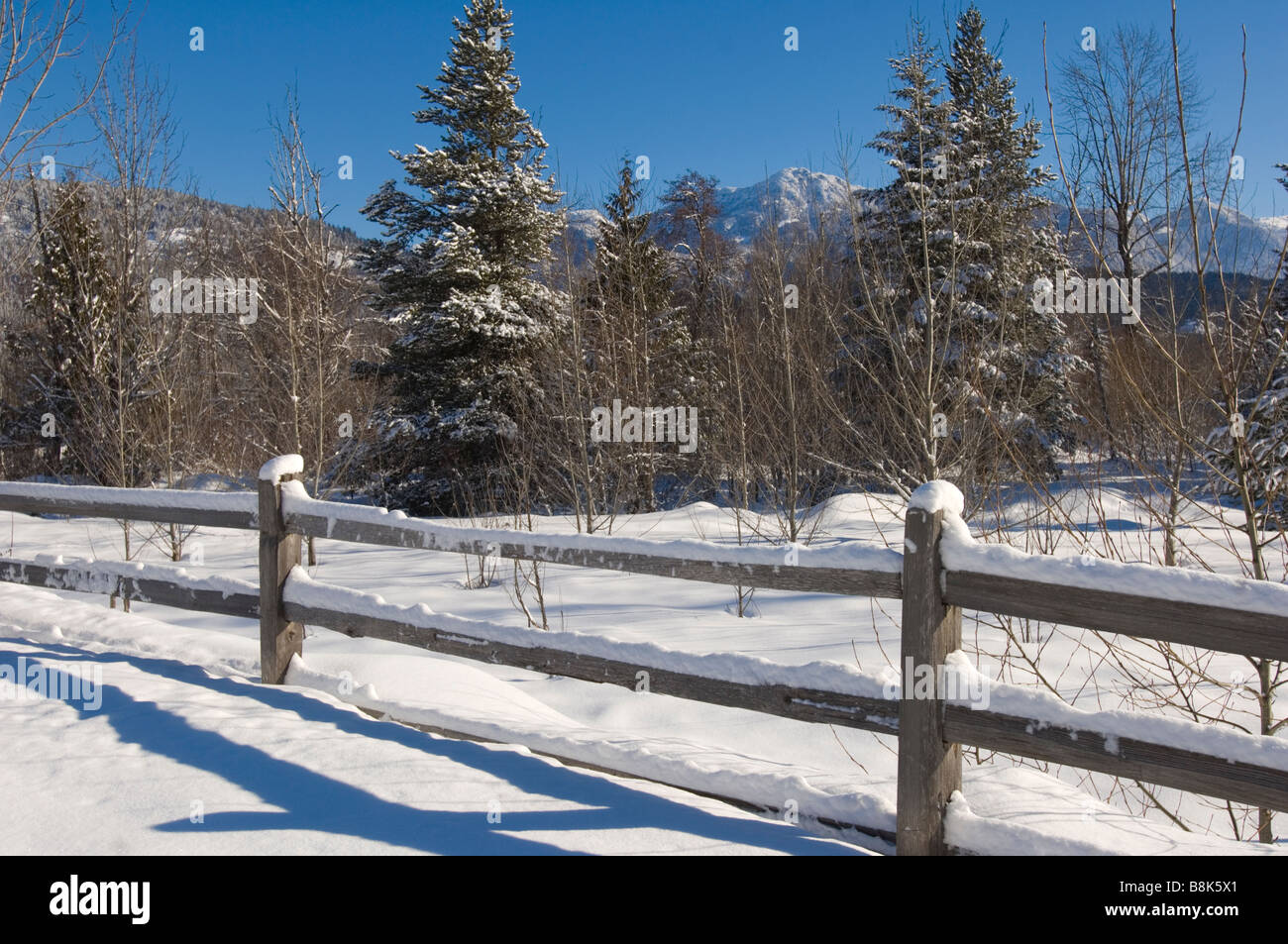 Alten Bauernhof Zaun in einem schneebedeckten Feld.  Pemberton BC Kanada Stockfoto