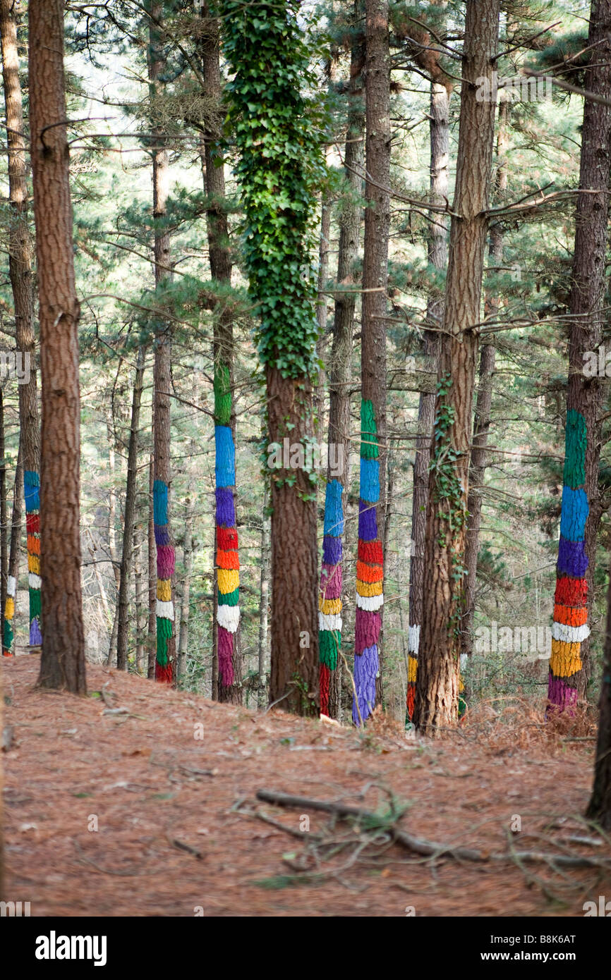Bosque Pintado de Oma, "die bemalte Wald von Oma", wo Künstler Agustin Ibarrola Augen, Menschen und geometrischen Formen gemalt hat. Stockfoto