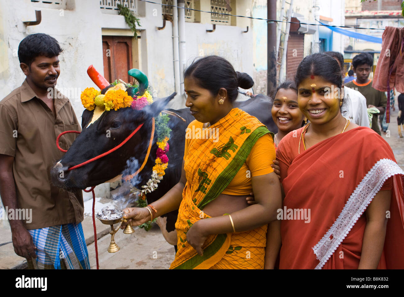 Indien Tamil Nadu Madurai Pongal Erntefest Frauen Segen Familie Kuh Stockfoto