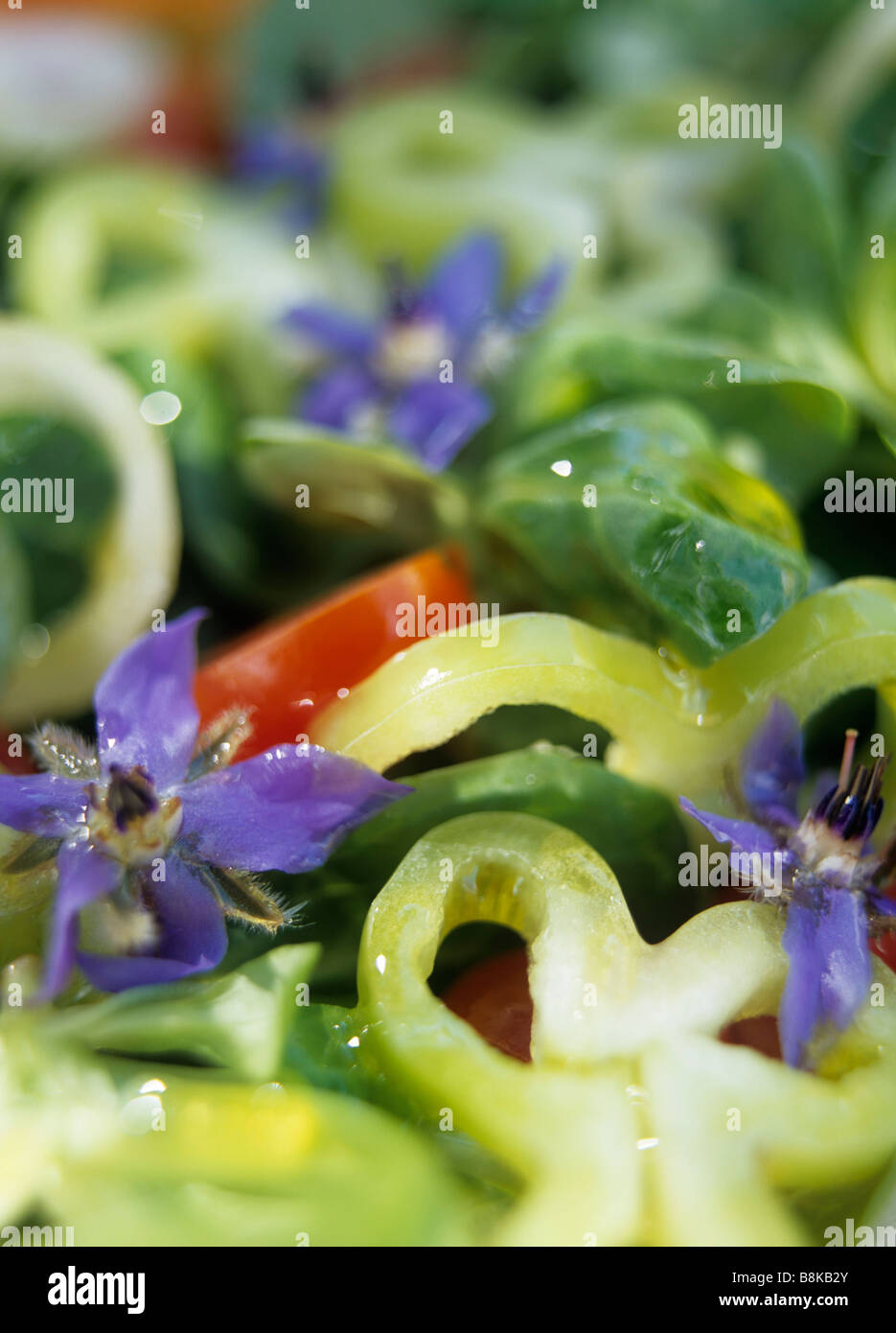 gemischter Salat Stockfoto