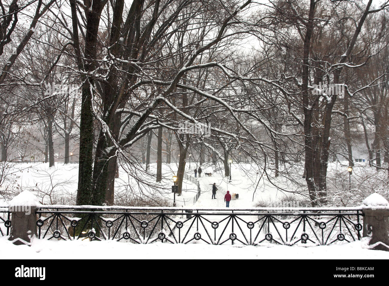 Central Park in einem Schneesturm winter Stockfoto
