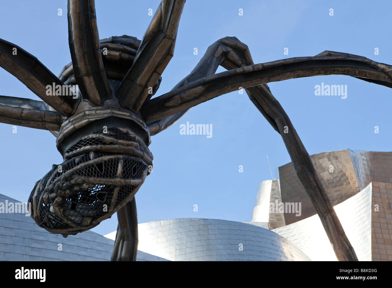Maman von Louise Bourgeois, Spinne Skulptur im Gehrys Guggenheimmuseum, Bilbao, Spanien. Stockfoto