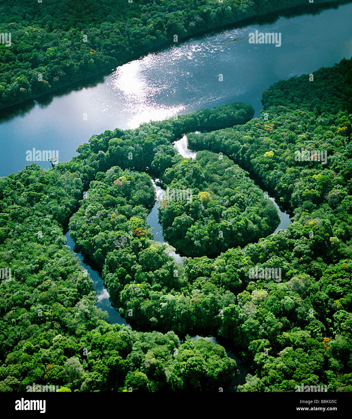 Kurvenreiche Nebenfluss des Amazonas Stockfoto