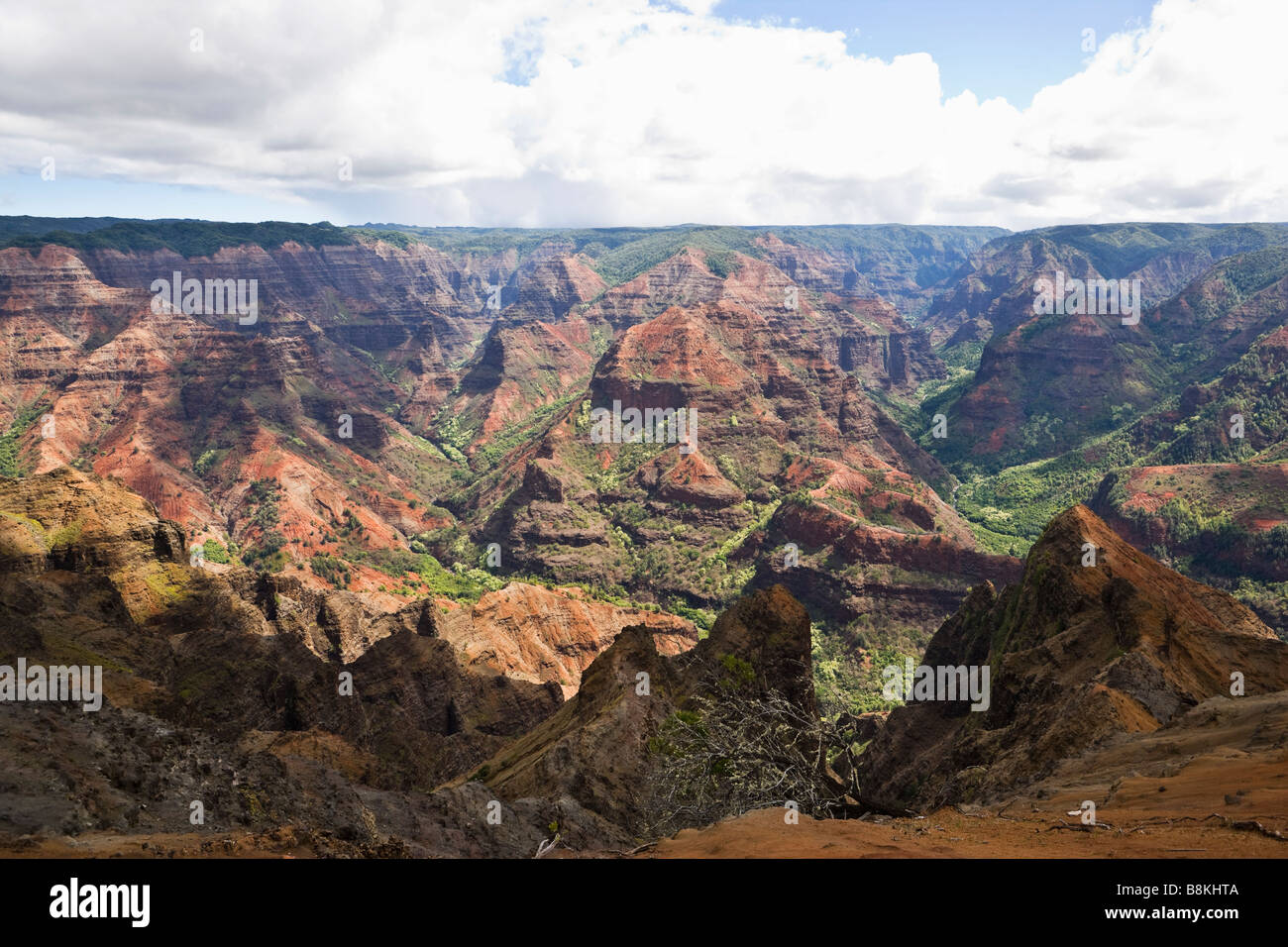 Blick hinunter in Waimea Canyon Kauai Hawaii USA Stockfoto