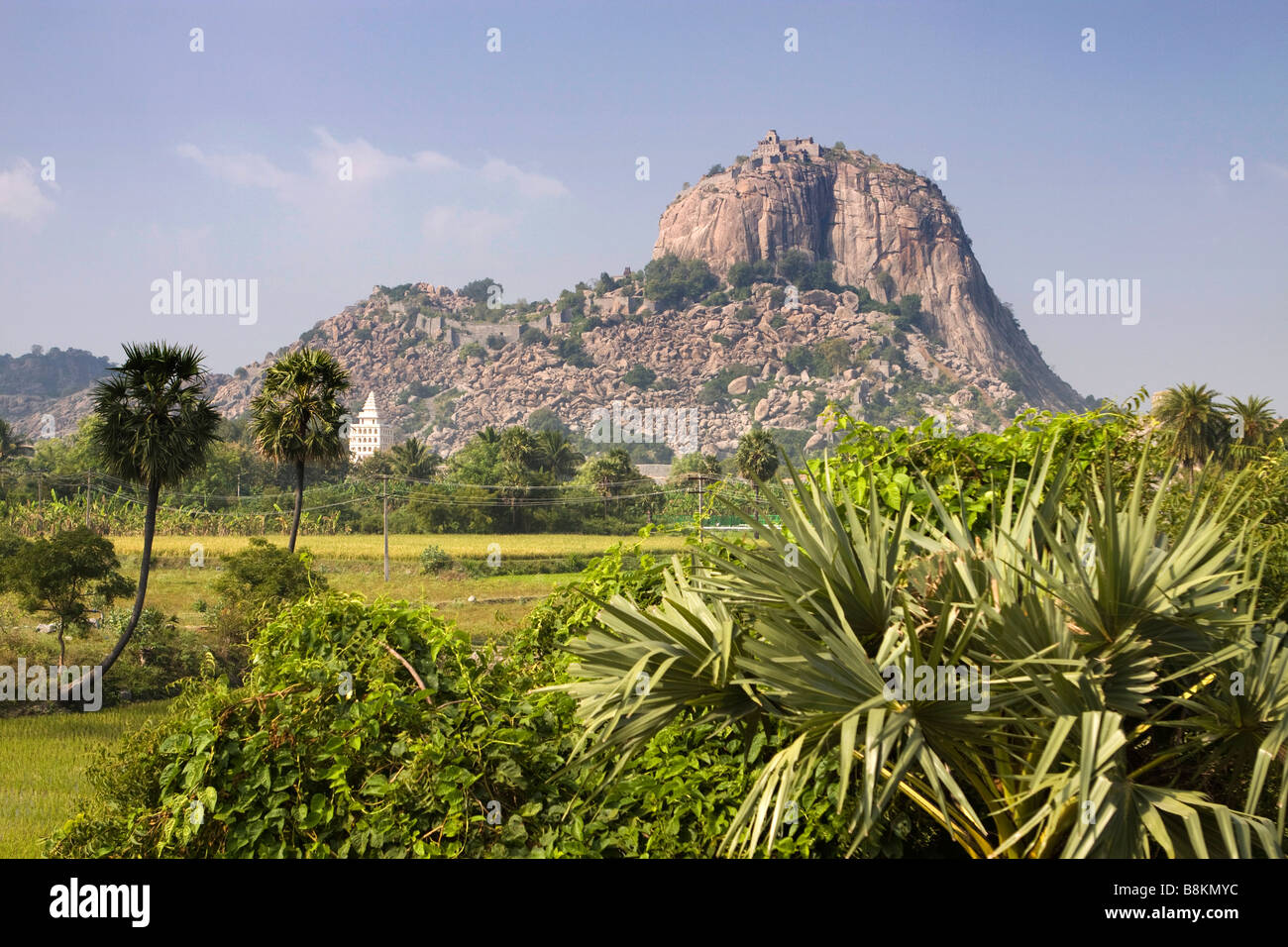 Indien-Tamil Nadu Gingee Fort Rajagiri Bergfestung und Mahal Kalyana über Felder Stockfoto