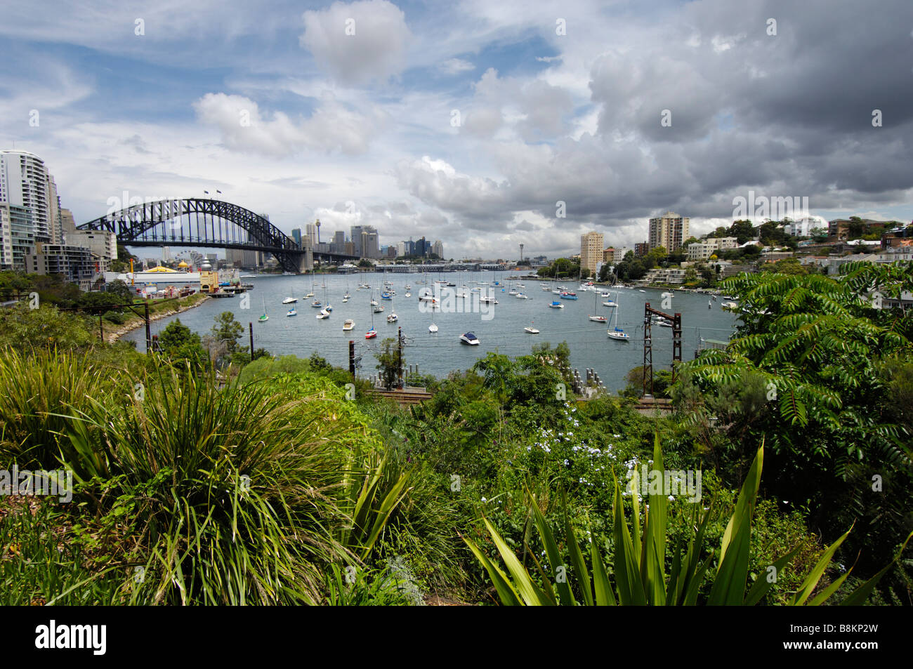 Blick auf Sydney Harbour Bridge vom Clark Park auf Sydneys North Shore, Australien. Stockfoto