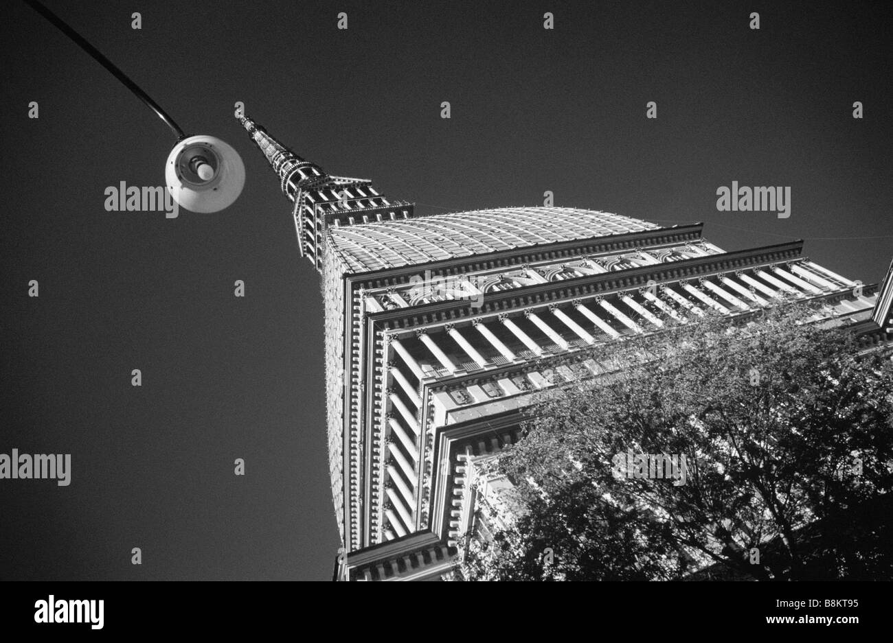 MOLE ANTONELLIANA Stockfoto