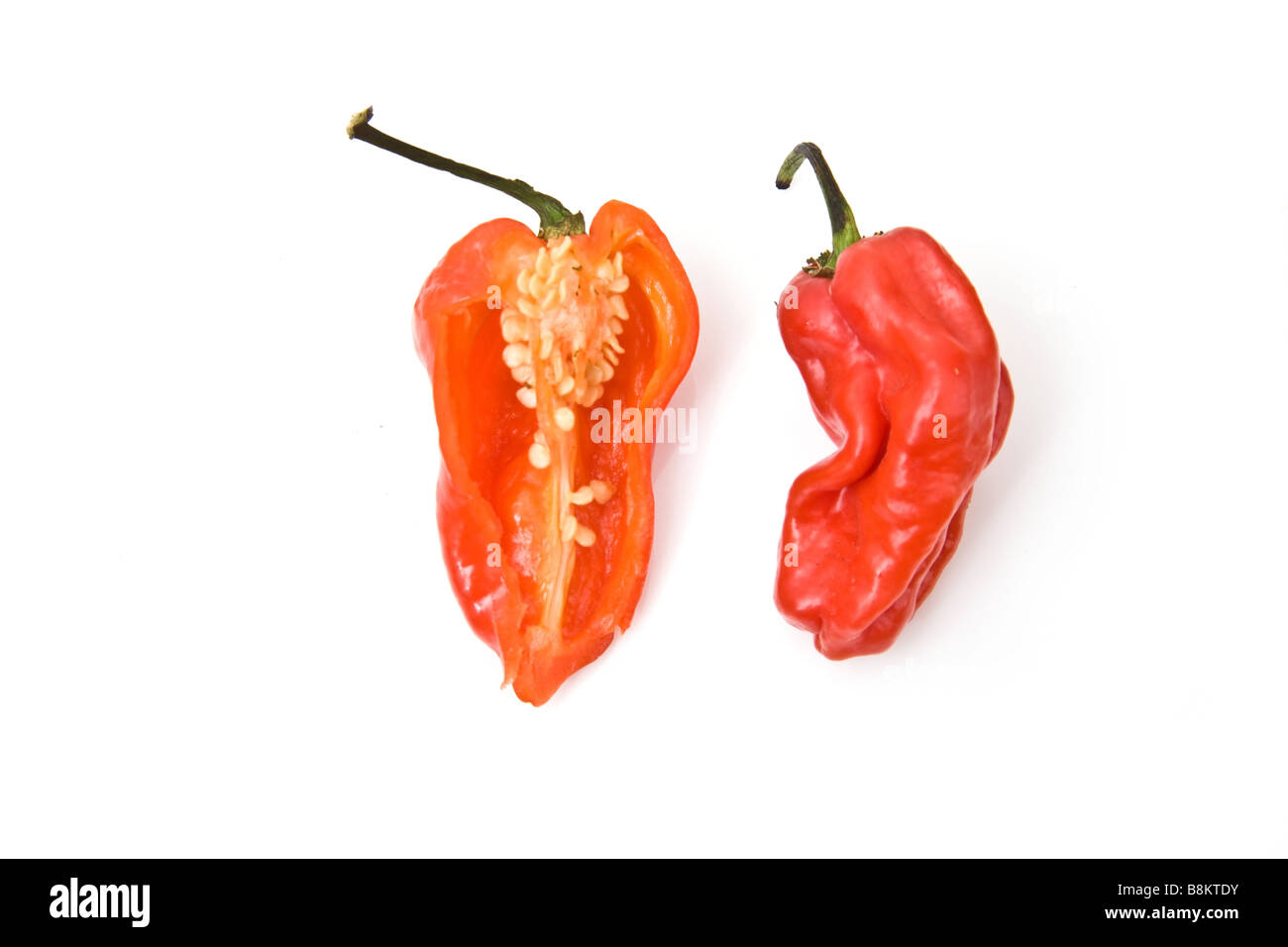 Westindischen Scotch Bonnet Pfeffer isoliert auf einem weißen Studio-Hintergrund Stockfoto