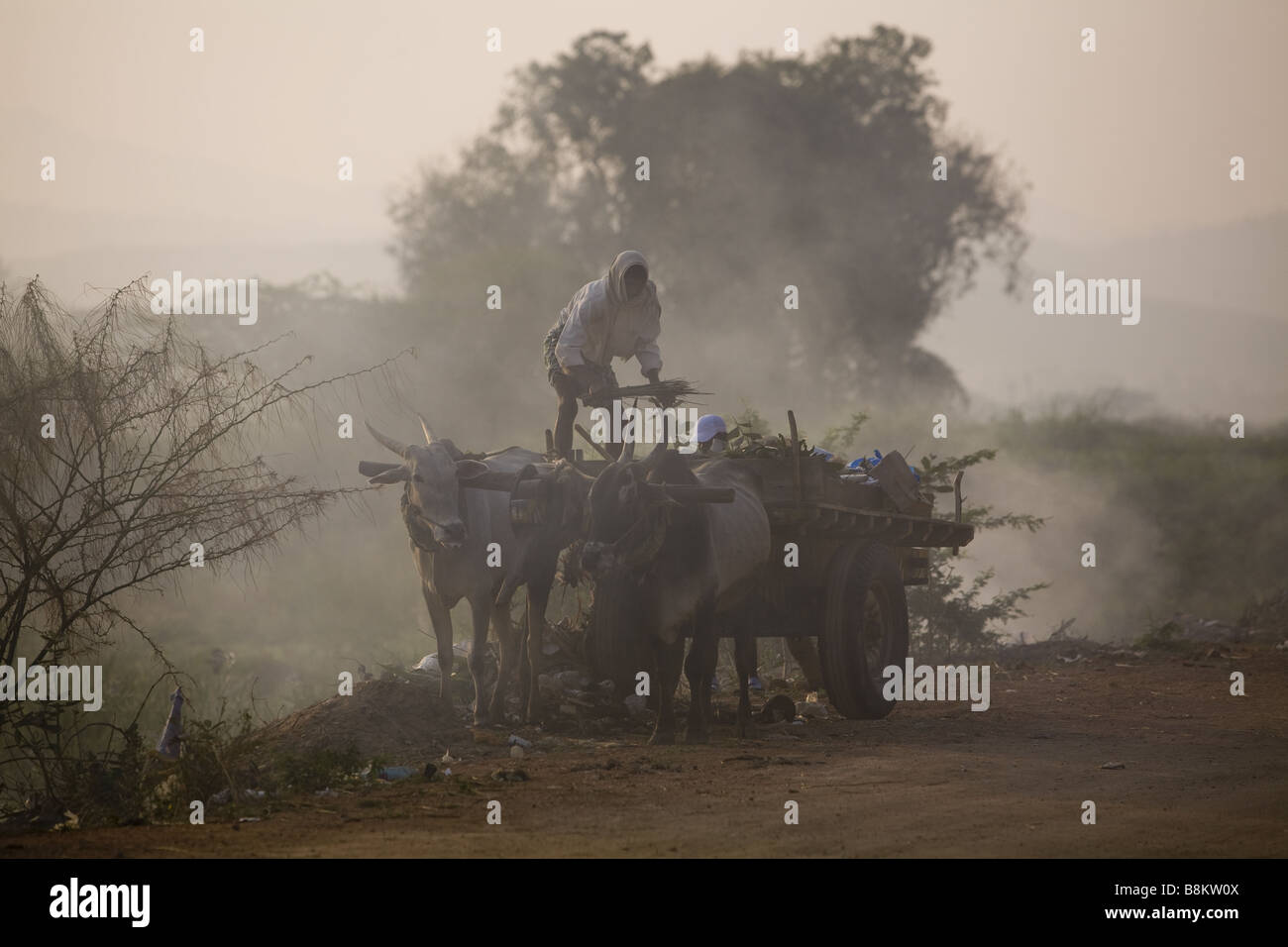 Dumping Müll in Indien Stockfoto