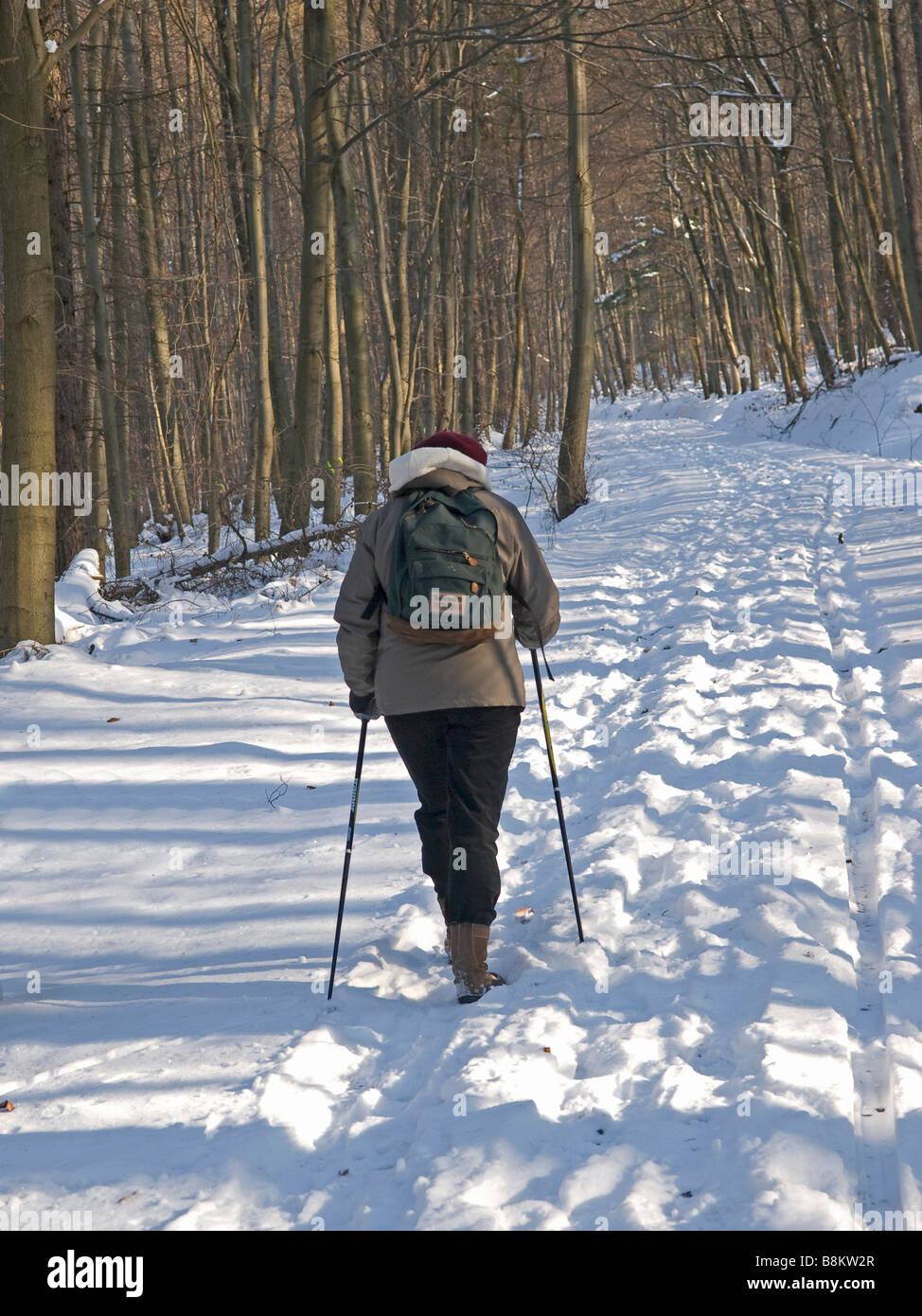 Frau mit Nordic Walking auf dem Weg im Wald Stockfoto