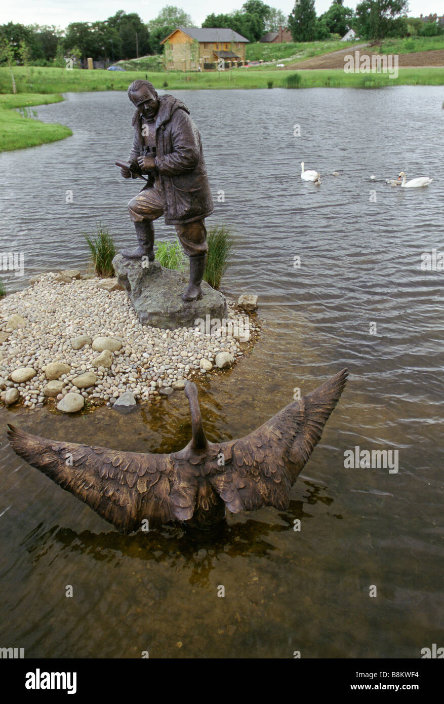 London UK A Statue von Sir Peter Scott bei der Feuchtgebiete Wildfowl trust Stockfoto