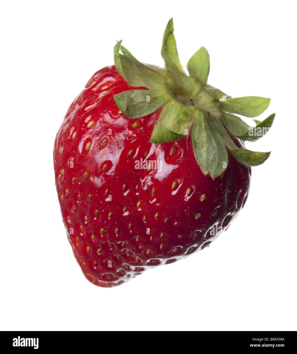 rote Erdbeere isoliert auf weißem Hintergrund Stockfoto