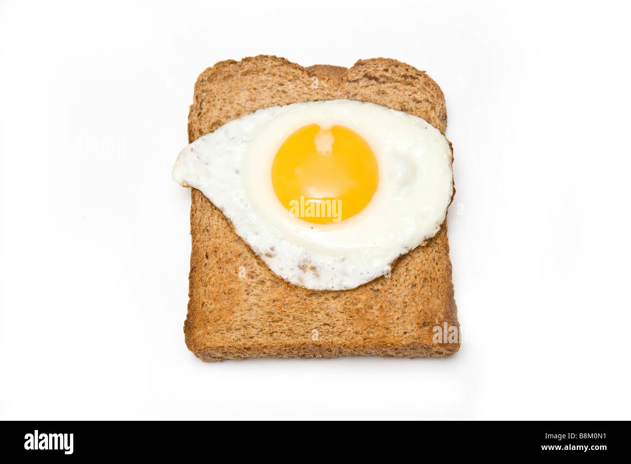 Spiegelei auf Toast isoliert auf einem weißen Studio-Hintergrund Stockfoto