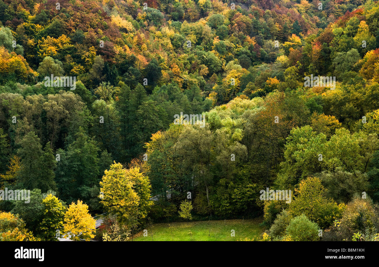 bunten Herbstwald entlang der Mosel in Deutschland Stockfoto