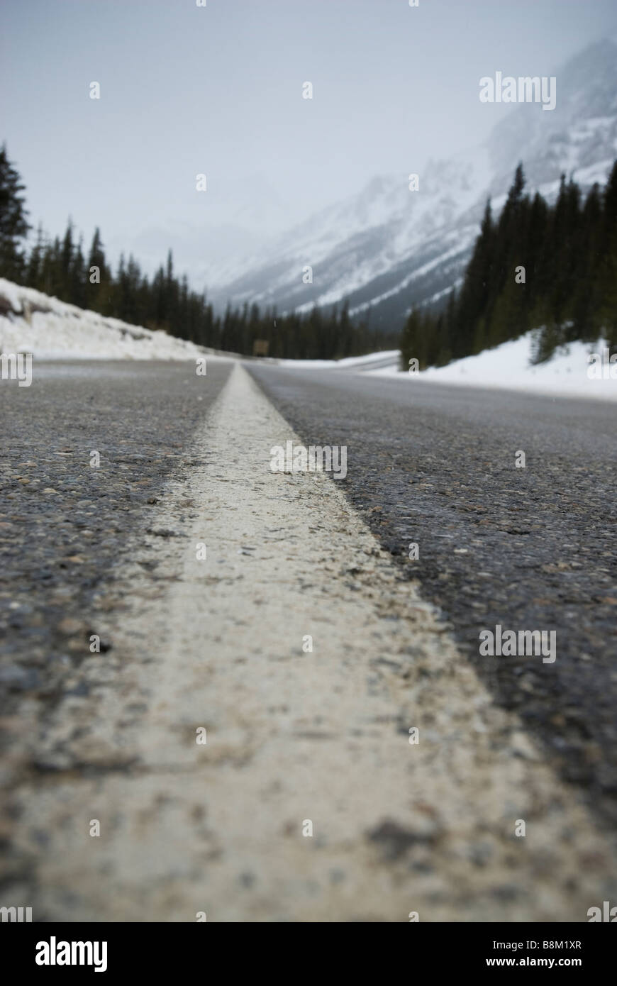 Autobahn-Streifen auf einer Straße durch Banff Nationalpark, Alberta, Kanada. Stockfoto