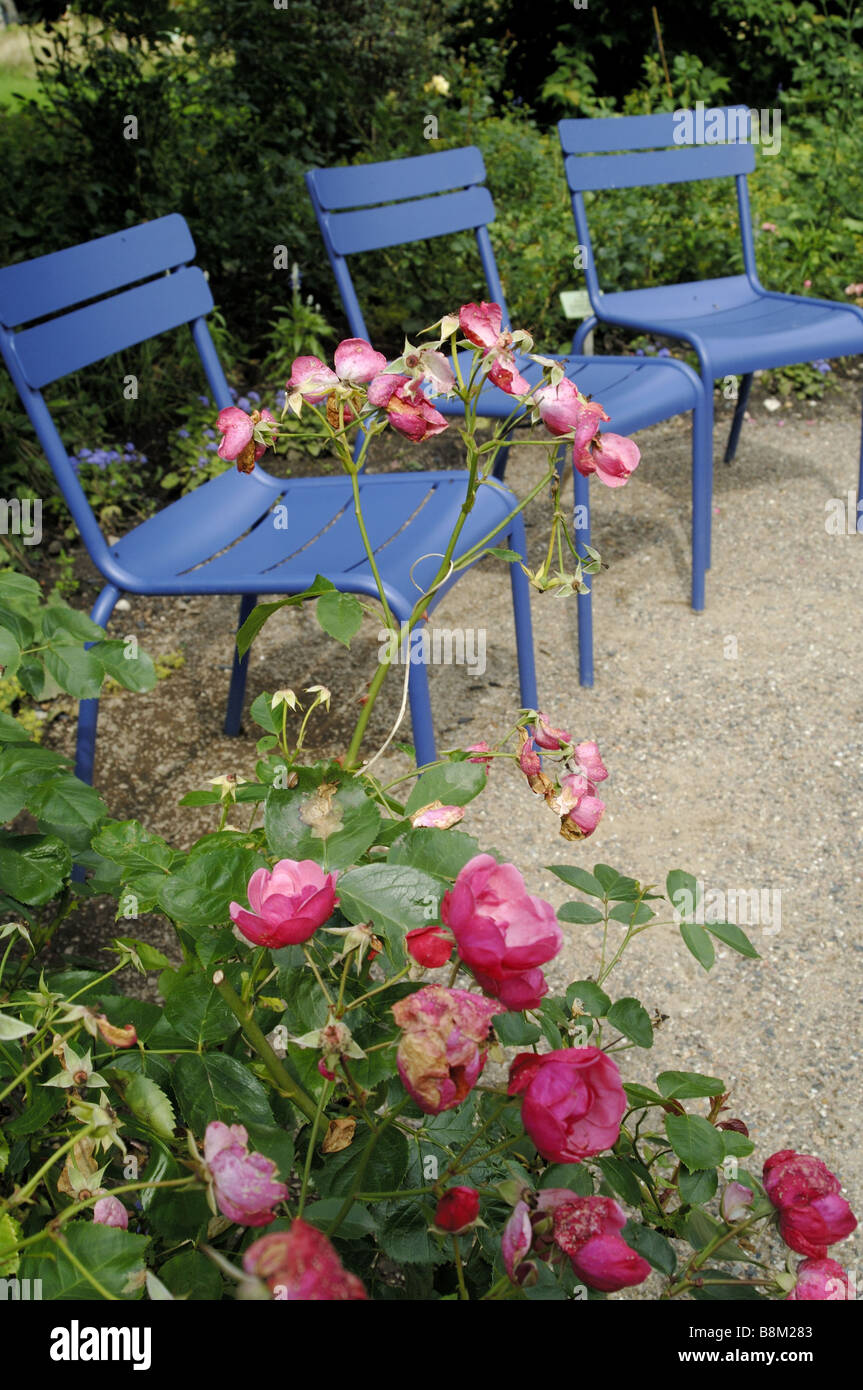 drei blaue Gartenstühle Stockfoto