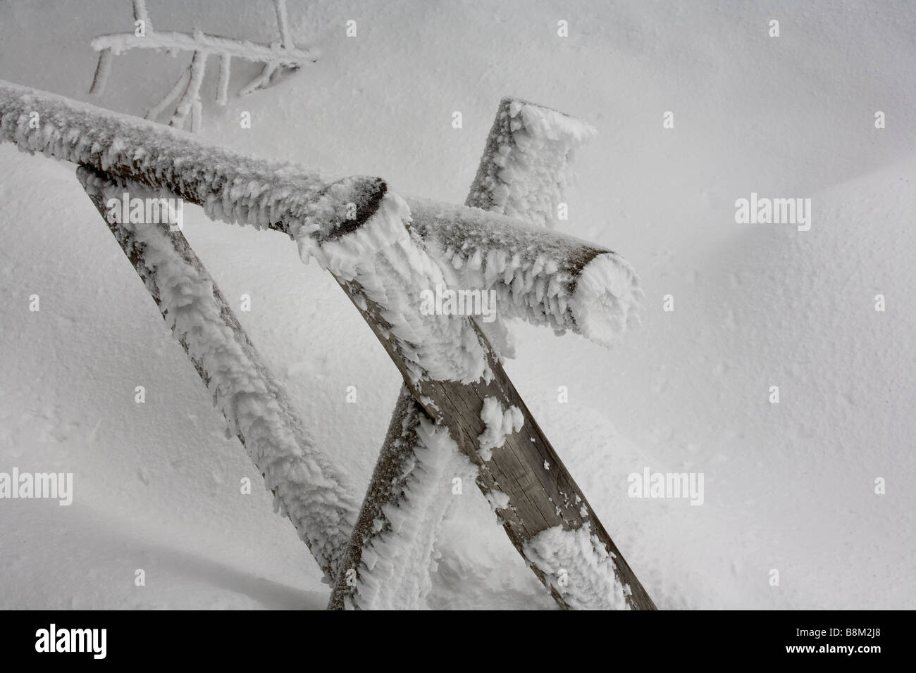 Yellowstone im Winter Stockfoto