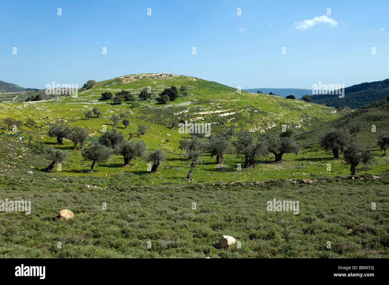 Tel Yodfat Stockfoto