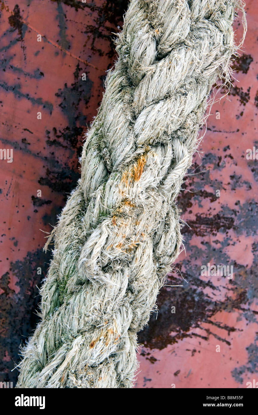 Alten Stron Schleppkabel über zerkratzte rostigen Schiffsrumpf Hintergrund. Stockfoto