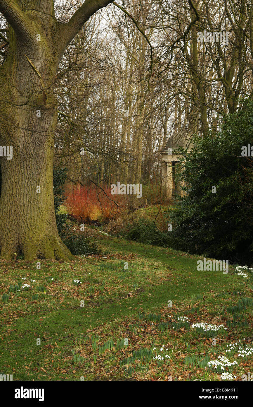 Tempel im Wald, Bäume ohne Blätter, Äste verdeckt die Sicht winter. Stockfoto