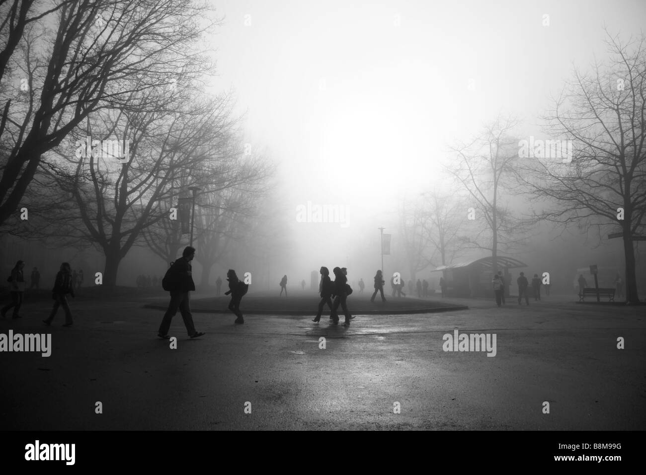 Studenten gehen durch Nebel und Bäume auf den Campus der Universität. Stockfoto