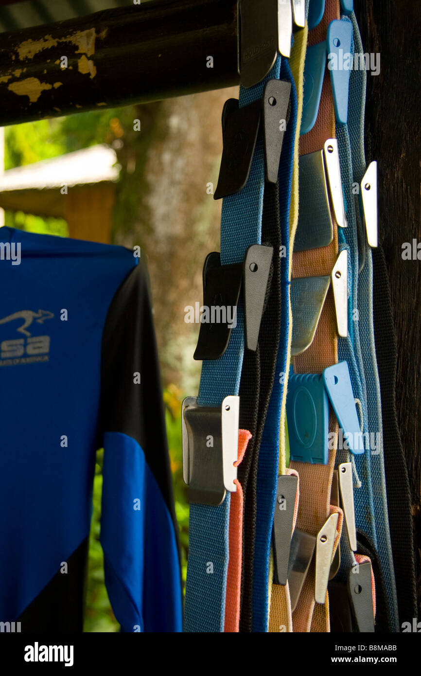 Tauchen Weightbelts neben einem Lycra Tauchanzug aufhängen.  Kungkungan Bay Resort. Lembeh Straße Nord-Sulawesi Indonesien Stockfoto
