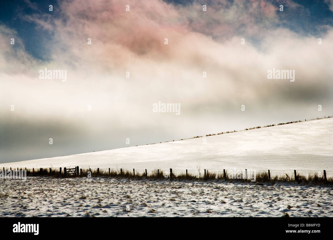 Eine minimalistische verschneite Winterlandschaft auf Wiltshire Downs England UK Stockfoto