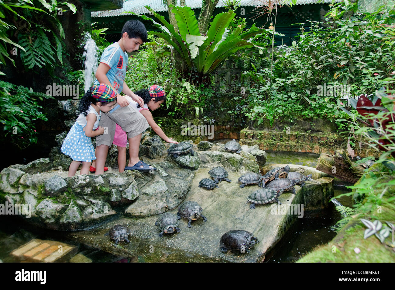 Schildkröte Schildkröten Lake Garden Herzen von Kuala Lumpur Rotwild Schmetterling Vogel Park Carcosa Seri Negara Orchid Hibiscus Garten. Stockfoto