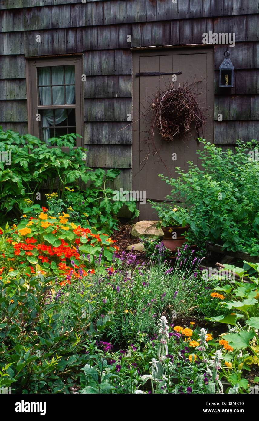 Dieses Kolonialstil Dooryard Kräuter- und Gemüsegarten Garteneigenschaften korrigieren historisch Pflanzen und eine Weinrebe Kranz an die Tür. Stockfoto