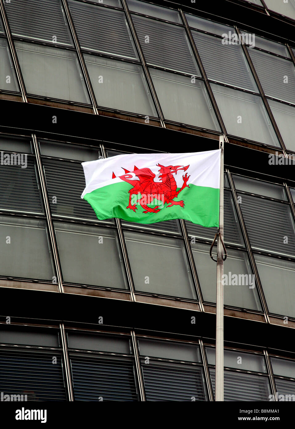 Walisische Flagge auf St Davids Tag London Stockfoto