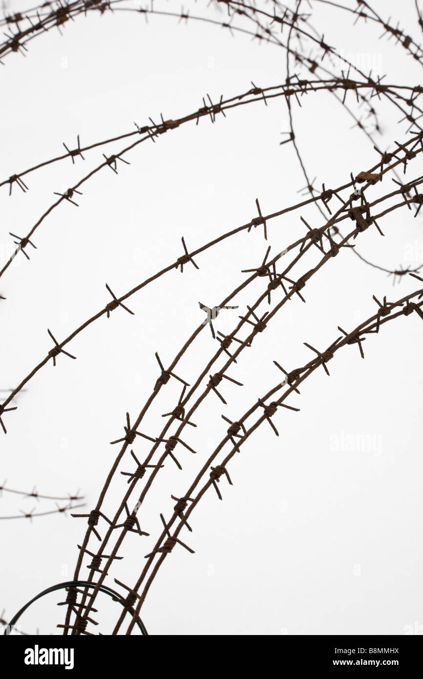 Stränge aus Stacheldraht im Schnee Stockfoto