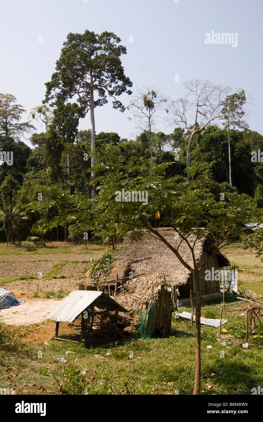Indien-Andamanen und Nikobaren Havelock island Kala Pathar Kleinbetrieb in Waldlichtung Stockfoto