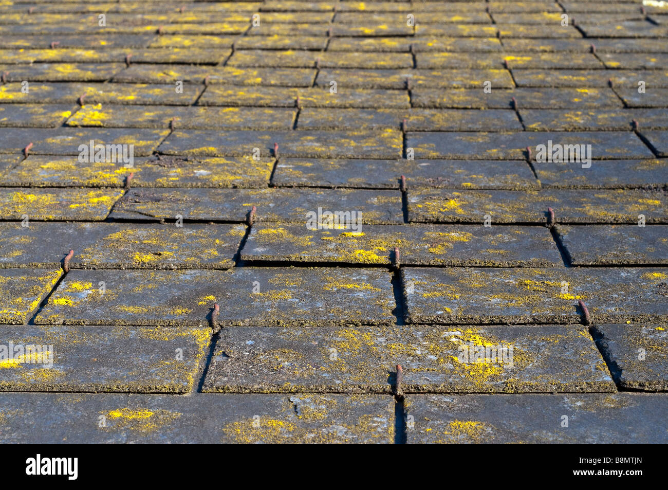 Flechten bedeckt Dachschiefer auf alten Haus, Frankreich. Stockfoto