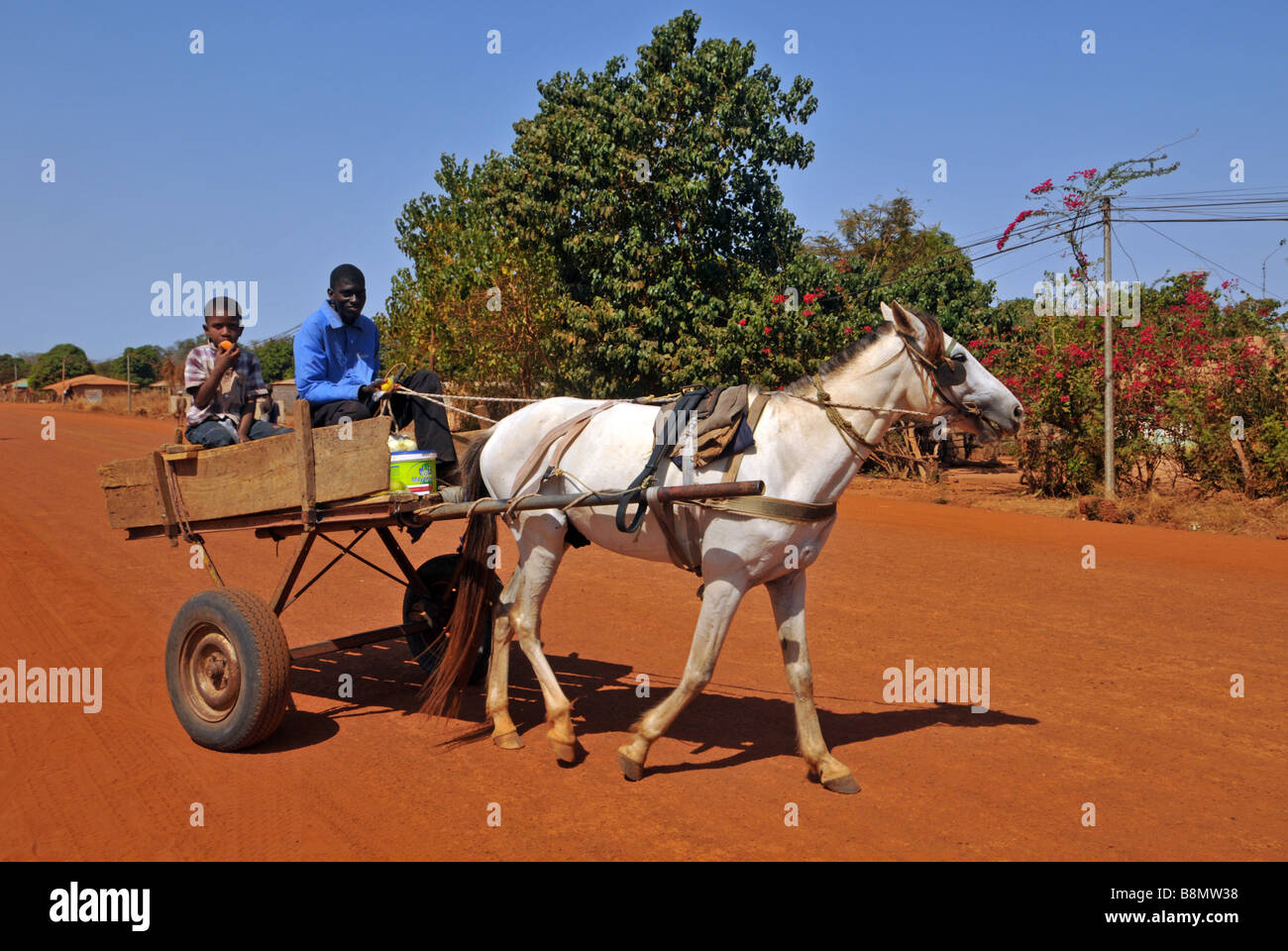 Pferd und Wagen in das Dorf Bwiam, The Gambia "Westafrika" Stockfoto