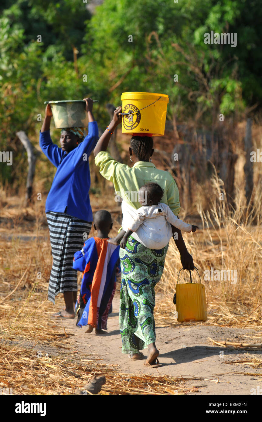 Frauen tragen Wasser in Eimern auf ihre Köpfe, Gambia, Westafrika Stockfoto