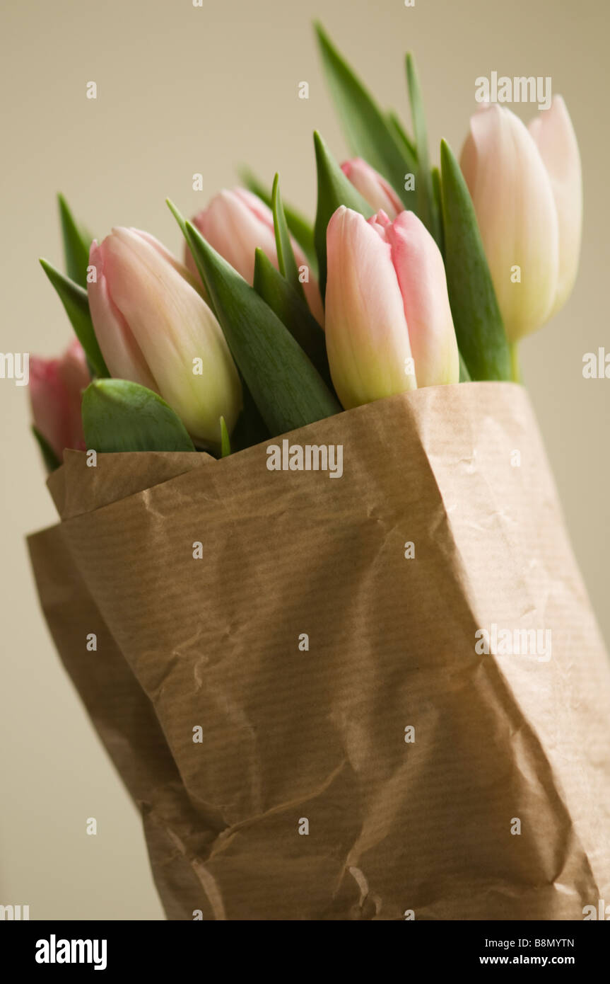 Rosenstrauss rosa Tulpen in Papier eingewickelt Stockfoto
