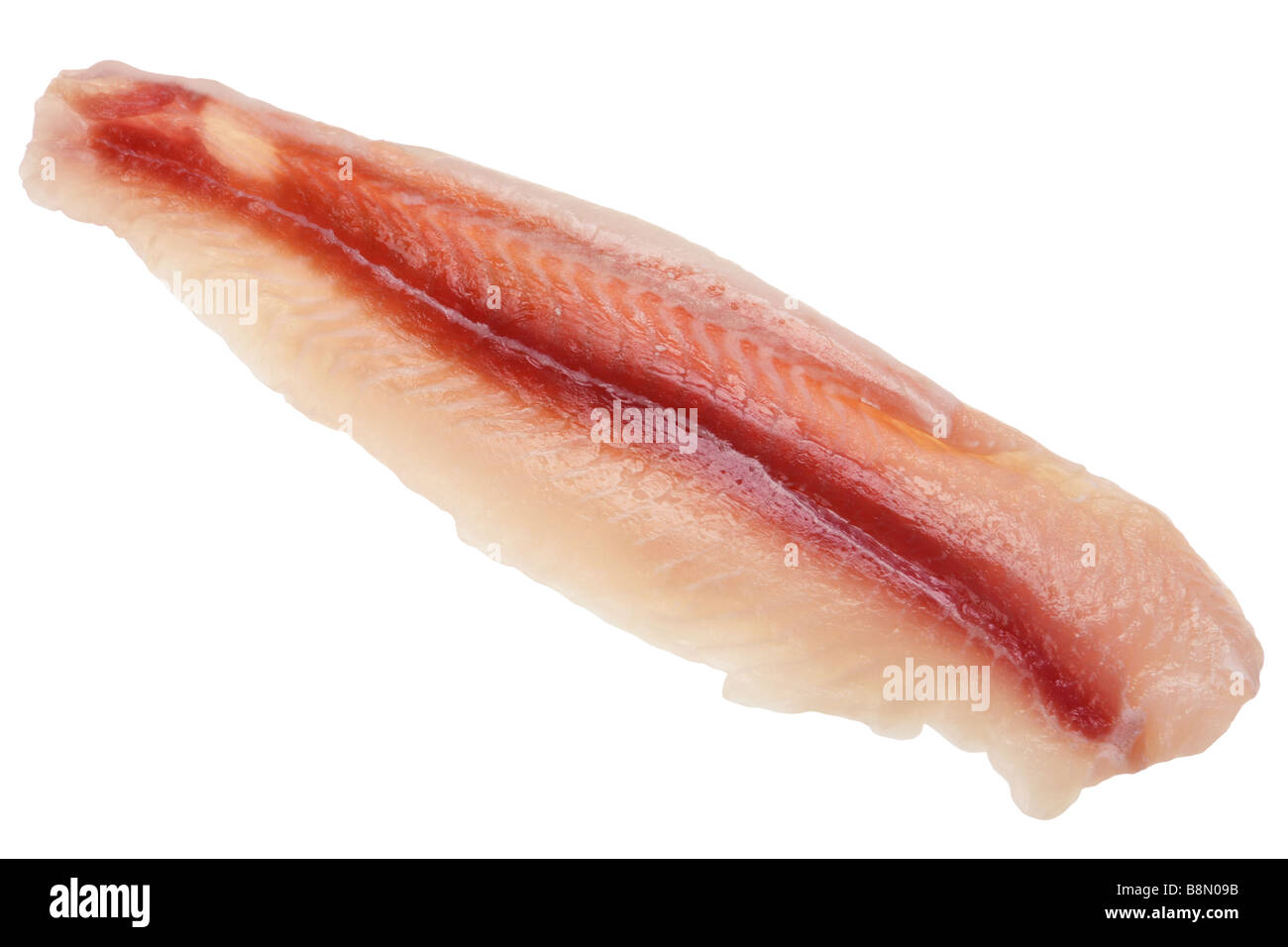 Meeresfrüchte Fisch filetieren Detail auf weißem Hintergrund Stockfoto