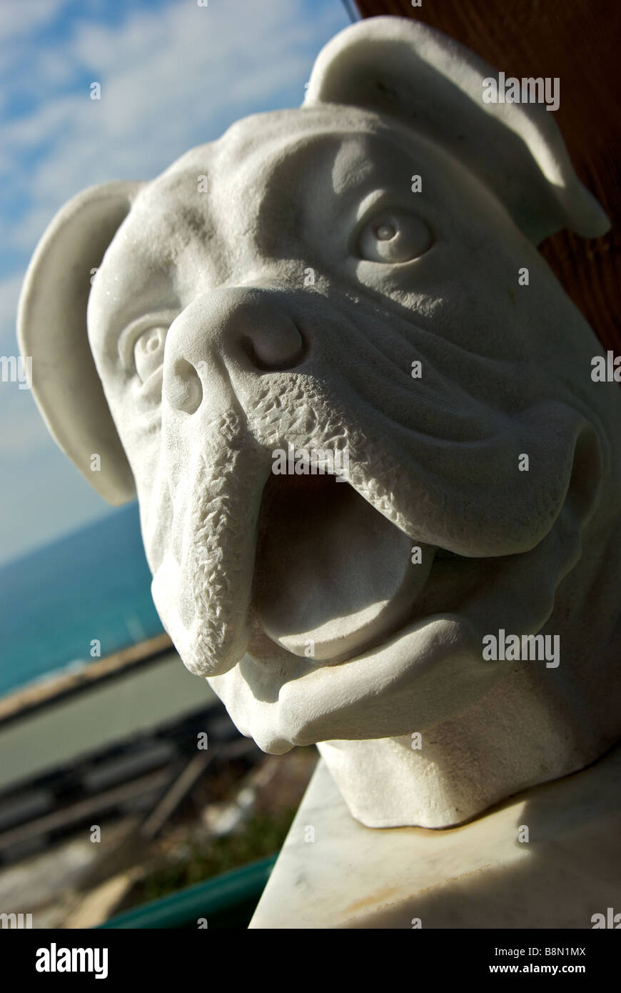 Gips Büste Skulptur der Boxer Hund Ilana Goor Museum Kunst Galerie Dach in Altstadt Jaffa anzeigen Stockfoto