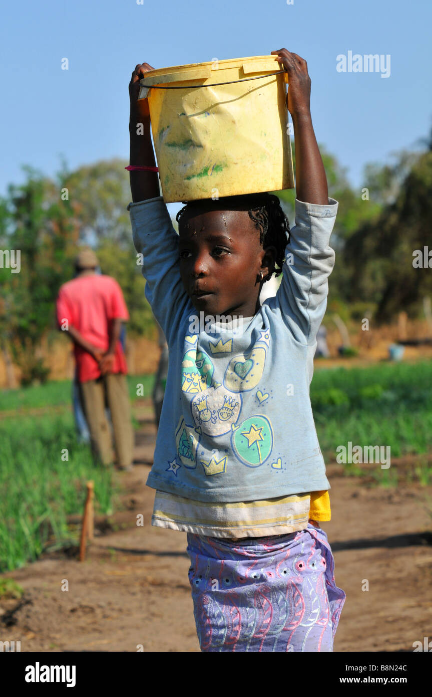 Kind trägt einen Eimer mit Wasser auf ihrem Kopf, Gambia, Westafrika Stockfoto