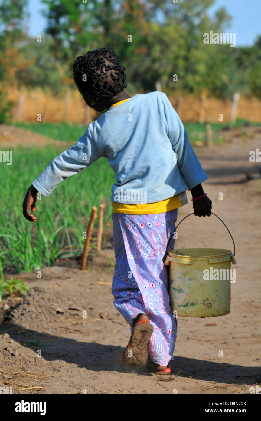 Kind trägt einen Eimer mit Wasser aus einem Brunnen, Gambia, Westafrika Stockfoto
