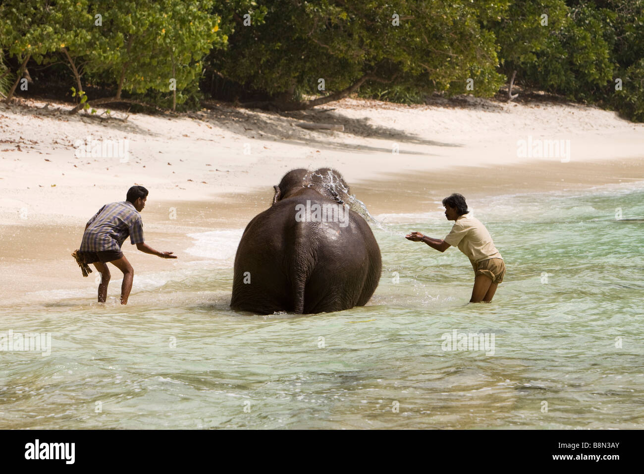 Indien-Andamanen und Nikobaren Havelock Island Mahout Elefanten im Meer waschen Stockfoto