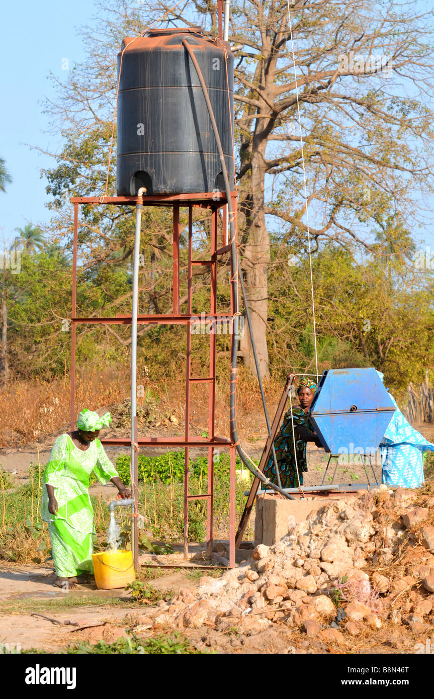 Frauen sammeln Wasser aus einem Brunnen Wasser ihre Pflanzen in Gambia, "Westafrika" Stockfoto