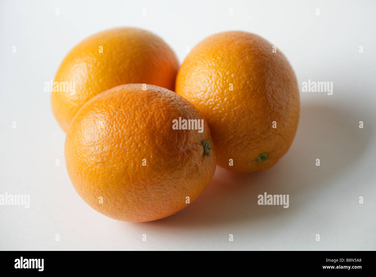 Orangen, Citrus sinensis Stockfoto