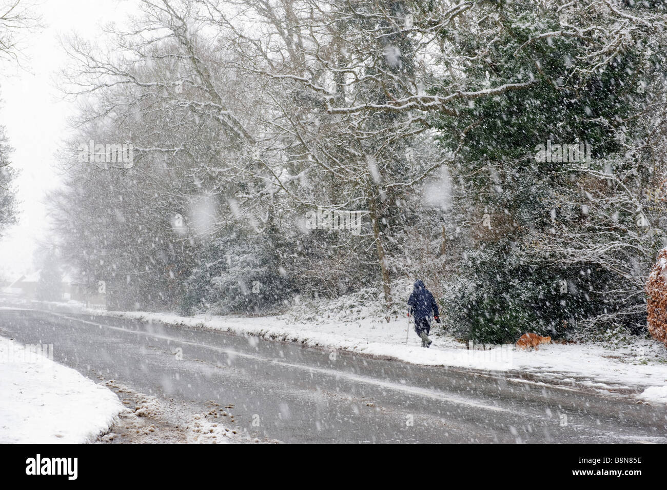 Person zu Fuß an der Seite von einer Buckinghamshire Straße durch Schneefall und ein Schneesturm. Stockfoto