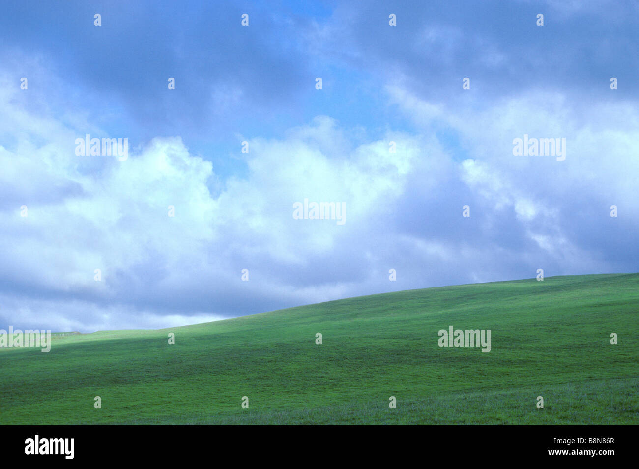 Grüne Hügellandschaft mit geschwollenen weißen Wolken Stockfoto